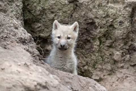 Parc Argonne Découverte