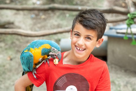 Soigneur parc argonne